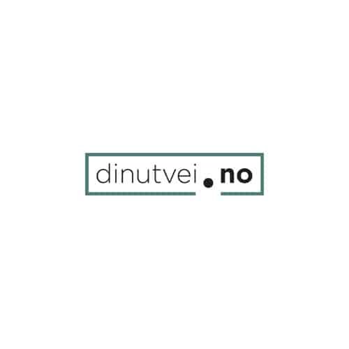 dinutvei.no logo